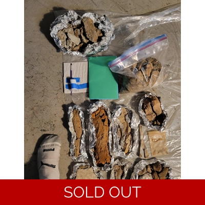 The Ultimate Dinosaur Fossil Expedition Dig Kit